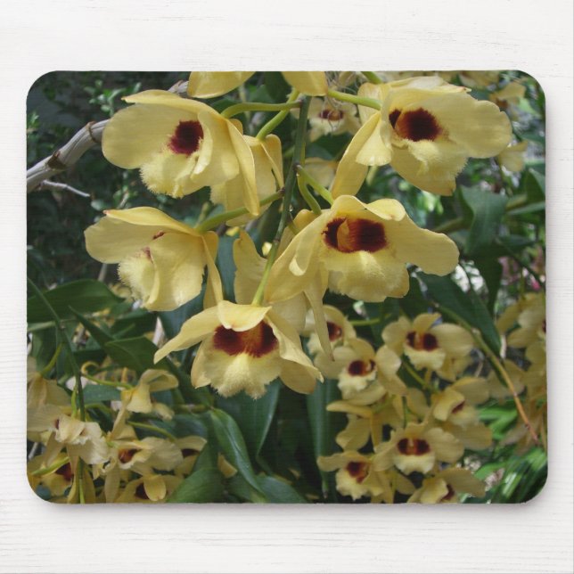Mousepad Orquídeas amarelas e grená flores elegantes (Frente)