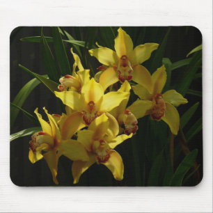 Mousepad Orquídeas Amarelas Sunlitivas Floral