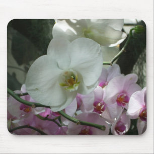 Mousepad Orquídeas brancas e roxas