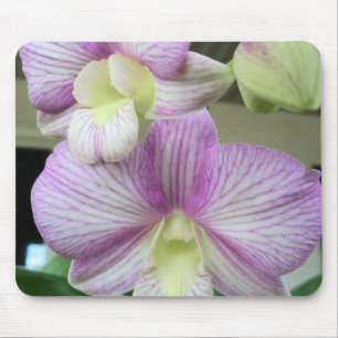Mousepad Orquídeas brancas e roxas leves num bocal