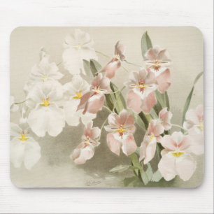 Mousepad Orquídeas Brancas Vintage Vintage Ilustração Antig