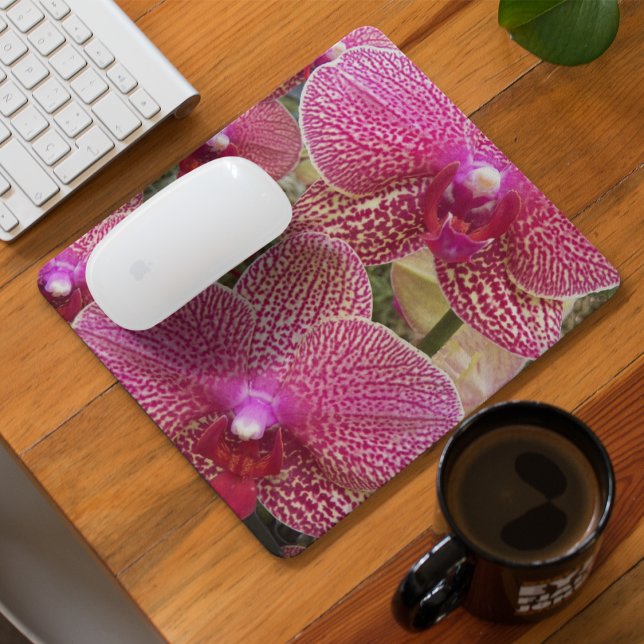 Mousepad Orquídeas da Phalaenopse Espetada, Rosa, Floral (In Situ)