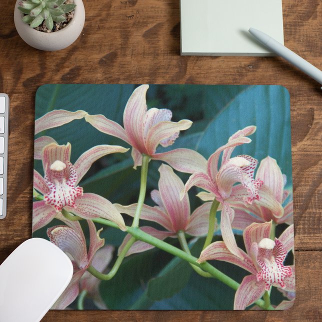 Mousepad Orquídeas de Cymbidium Rosa Floral (In Situ)