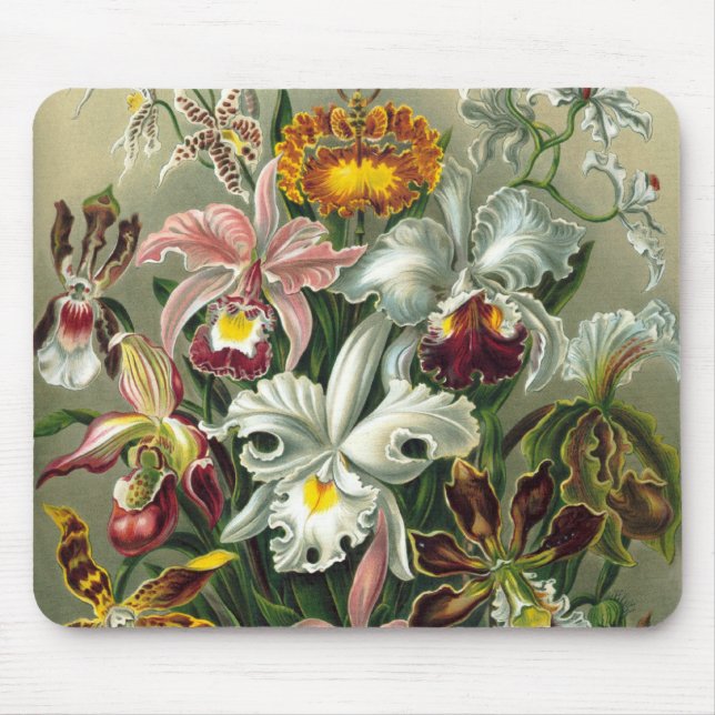 Mousepad Orquídeas de Ernst Haeckel, Flores Vintage da Flor (Frente)