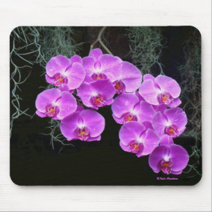 Mousepad Orquídeas Justas