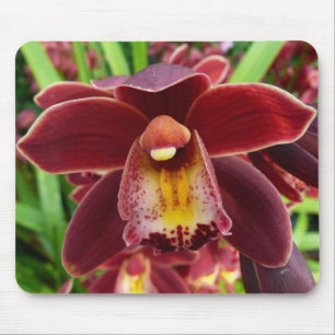 Mousepad Orquídeas Marrons I Florais Vermelhas Lindas