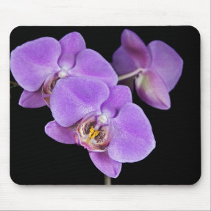 Mousepad Orquídeas primavera