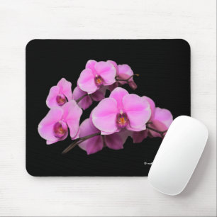 Mousepad Orquídeas Rosa Elegantes Flores de Phalaenopse em