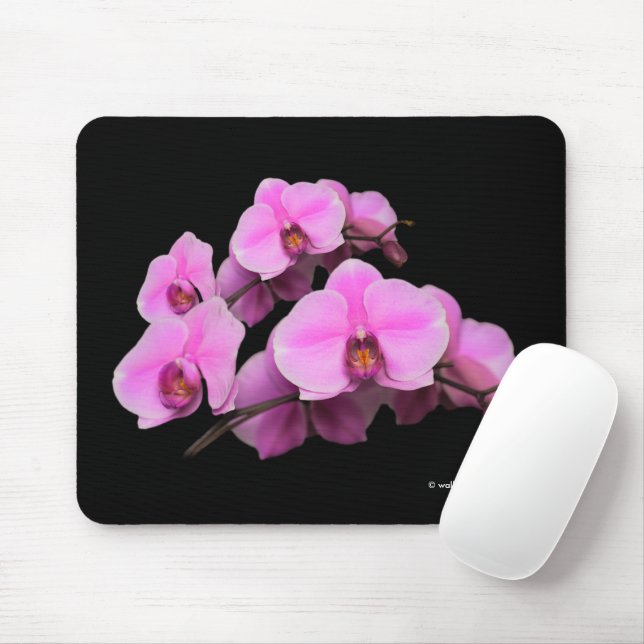 Mousepad Orquídeas Rosa Elegantes Flores de Phalaenopse em  (Com mouse)