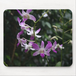 Mousepad Orquídeas roxas