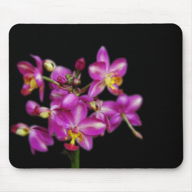 Mousepad Orquídeas roxas em fundo preto (Frente)