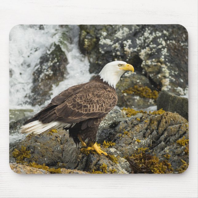 Mousepad Ortod Bald Eagle (Frente)