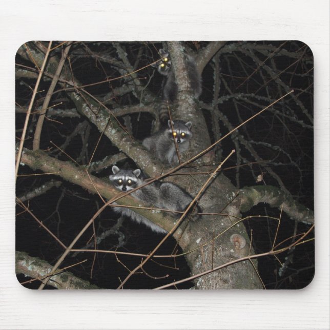 Mousepad Os 3 bandidos (Frente)