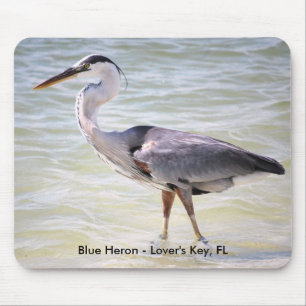 Mousepad os amantes azuis da garça-real fecham FL,