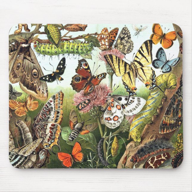 Mousepad Os animais selvagens de Caterpillar da traça da (Frente)
