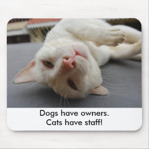 Mousepad Os "cães têm proprietários. Os gatos têm