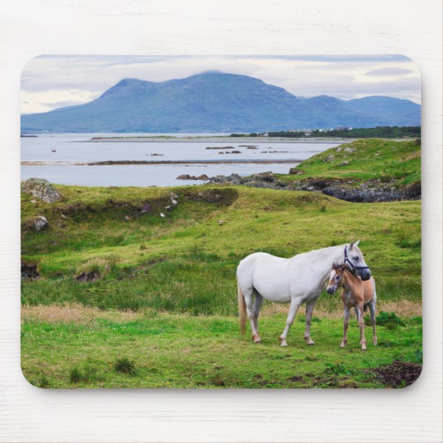 Mousepad Os cavalos de Connemara | Galway, Ireland (Frente)