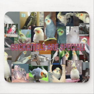 Mousepad Os Cockatiels são especiais