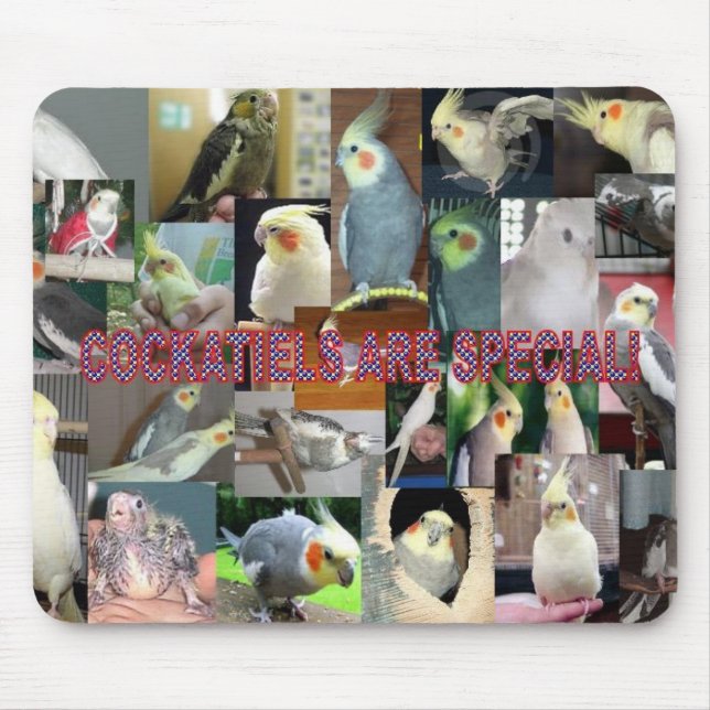 Mousepad Os Cockatiels são especiais (Frente)