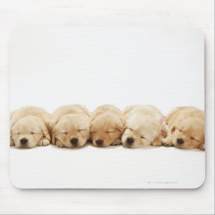 Mousepad Os filhotes de cachorro do golden retriever