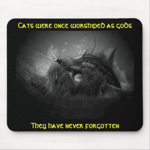 Mousepad Os gatos não esqueceram Meme