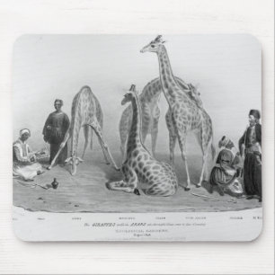 Mousepad Os girafas com os árabes