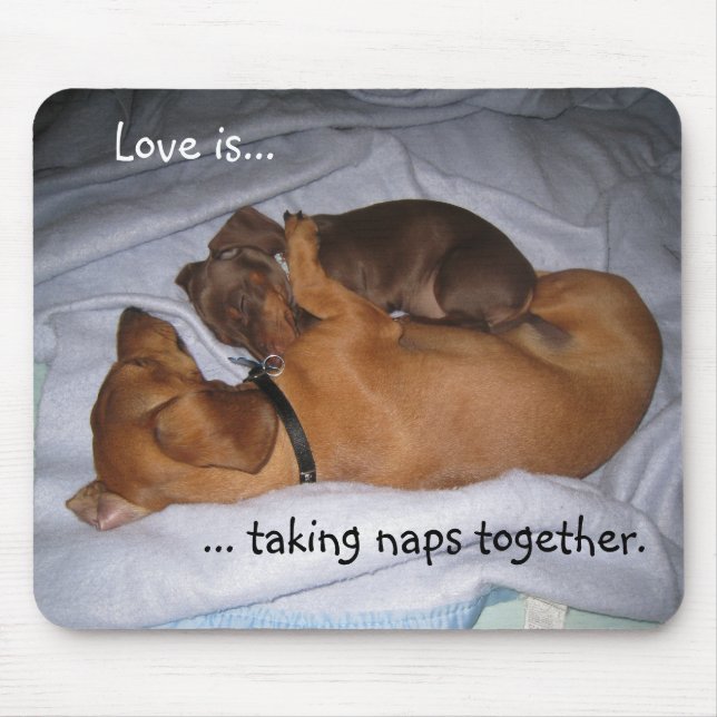 Mousepad os loveis, amor são…,… tomando naps junto (Frente)