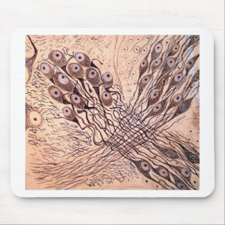 Mousepad Os neurônios 1 de Cajal