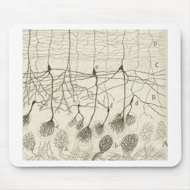 Mousepad Os neurônios 8 de Cajal (Frente)