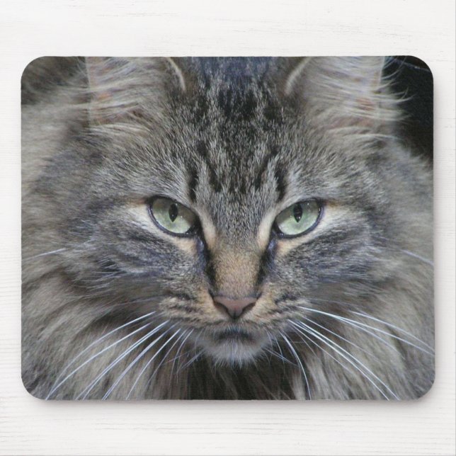 Mousepad Os Olhos Dos Gatos Têm (Frente)