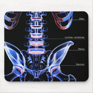 Mousepad Os ossos da parte traseira mais baixa
