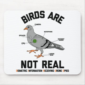Mousepad Os Pássaros Não São Verdadeiramente Spy Pigeon Dro
