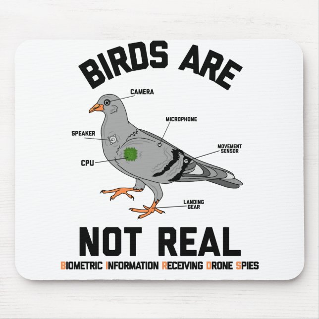 Mousepad Os Pássaros Não São Verdadeiramente Spy Pigeon Dro (Frente)