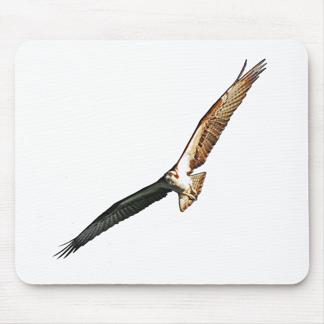 Mousepad Osprey (Frente)
