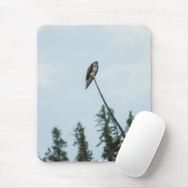 Mousepad Osprey 9028 (Com mouse)