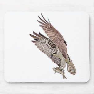Mousepad Osprey com peixe
