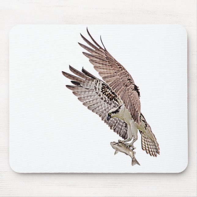 Mousepad Osprey com peixe (Frente)
