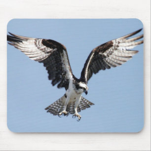 Mousepad Osprey do vôo