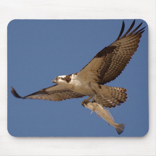 Mousepad Osprey Fisher (Frente)