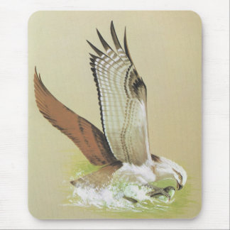 Mousepad Osprey - haliaetus do Pandion