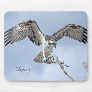 Mousepad Osprey Wingspan