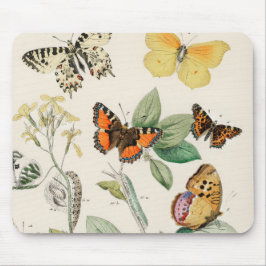 Mousepad Ótima ilustração de borboletas