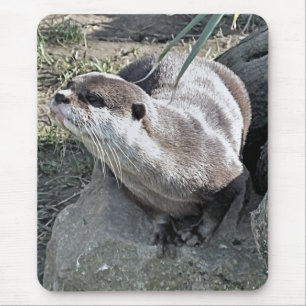 MOUSEPAD OTTER CUTO