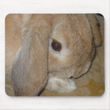 Mousepad ou Mousemat - coelho orelhudo do anão do