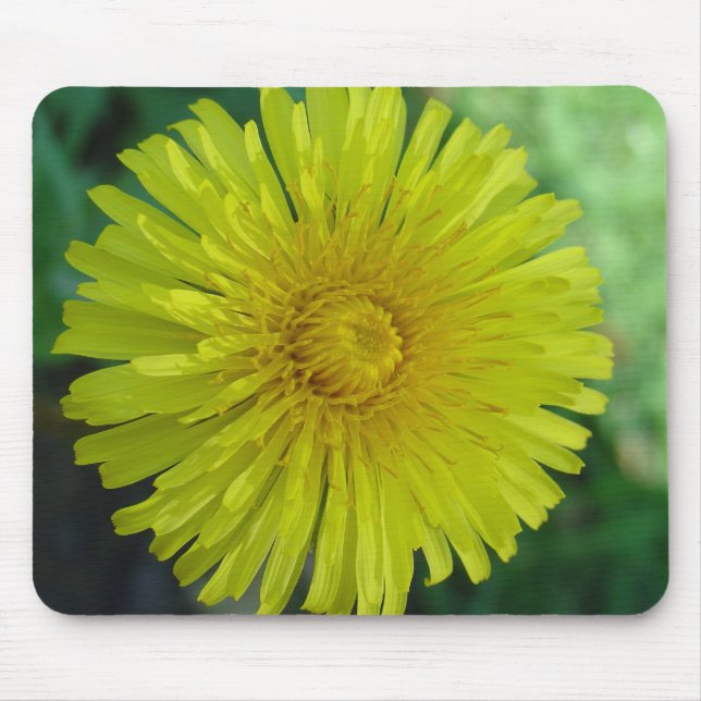 Mousepad ou Mousemat - Dandelion (Frente)
