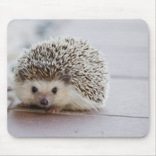 Mousepad Ouriço agradável