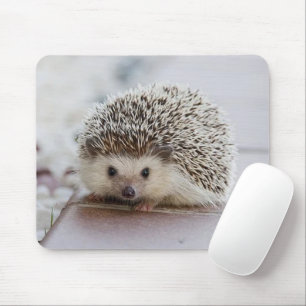 Mousepad ouriço-bebê