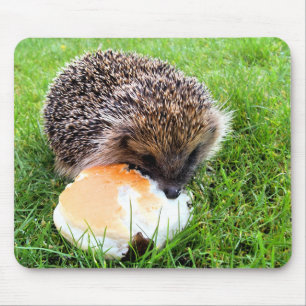 MOUSEPAD OURIÇO BONITO