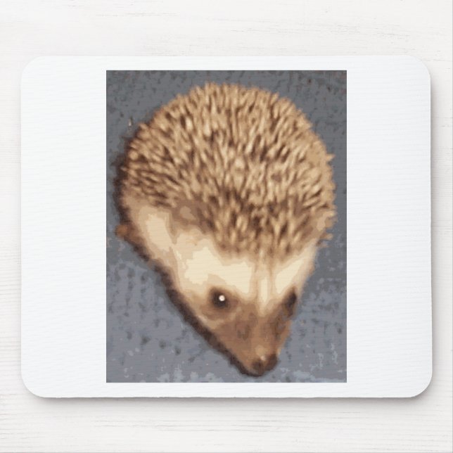 Mousepad ouriço do bebê (Frente)