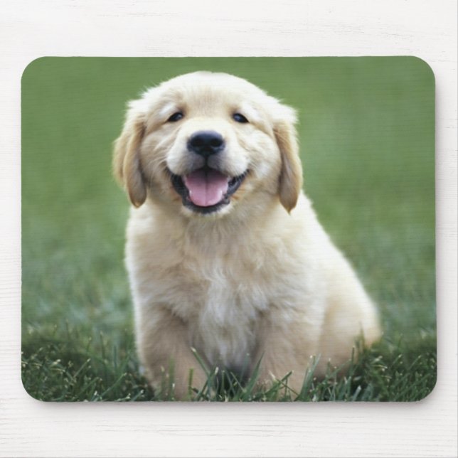 Mousepad Ouro Adorável Cachorro Verde (Frente)